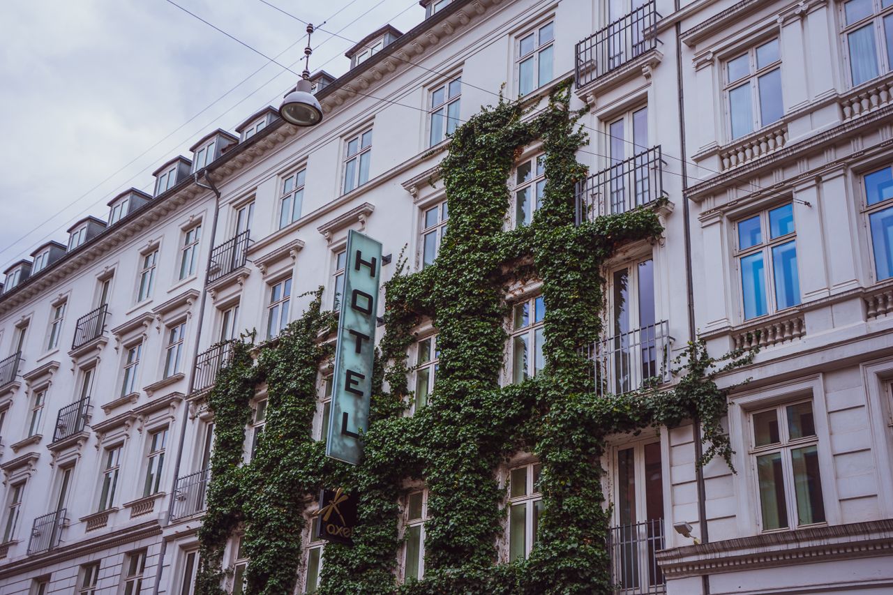 Elegant hotel facade covered in lush ivy, located in urban Copenhagen.